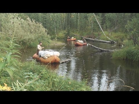 Видео: 2006 август. Хахалевка