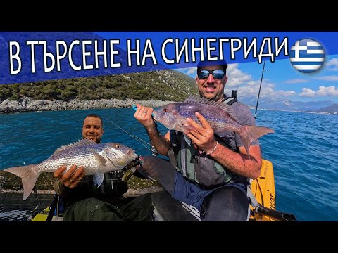 Видео: В търсене на Синегриди из Лефкада