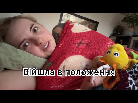 Видео: Ти обіди вся на нас? || 02.11.25.