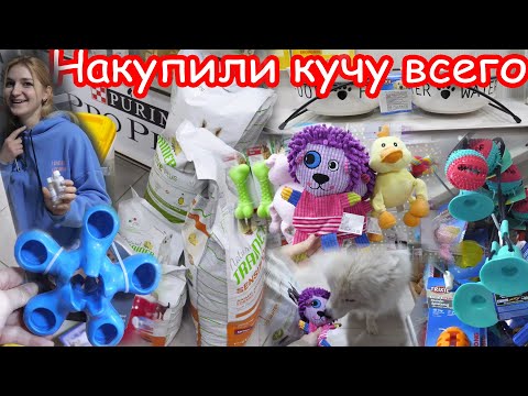 Видео: VLOG Закупились в зоомагазинах на огромную сумму