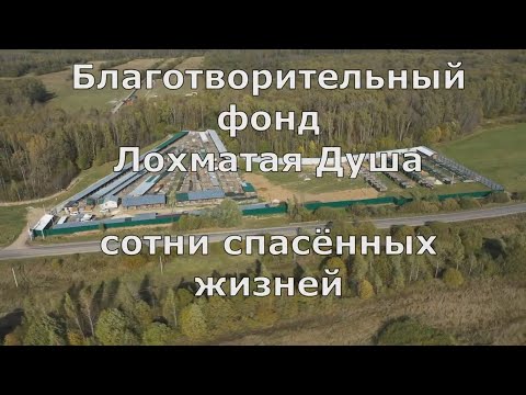 Видео: Возвращение в Лохматую Душу
