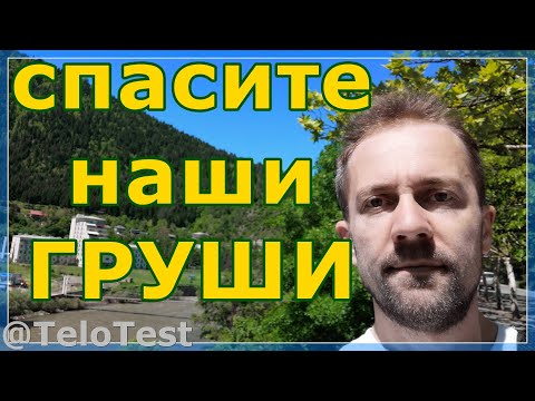 Видео: 575 Ферментированные фрукты Как квасить груши