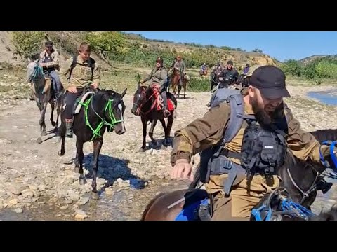 Видео: Конные прогулки Ауховских всадников 