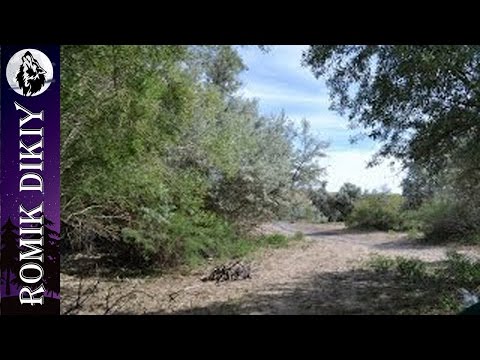 Видео: Рыбалка на Тусмурунском канале  Июнь 2014  День 2 й