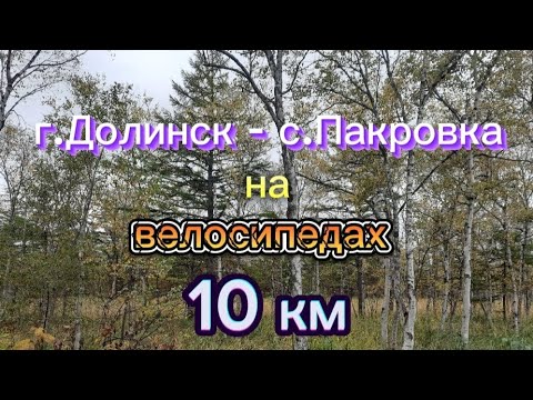 Видео: Уехали на велосипедах в другой город: