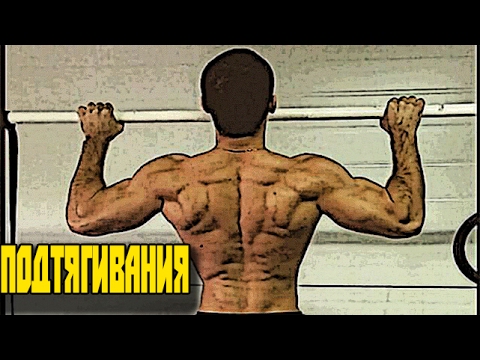 Видео: ПОДТЯГИВАНИЯ на турнике !!! Техника кОчки!)                              VOD