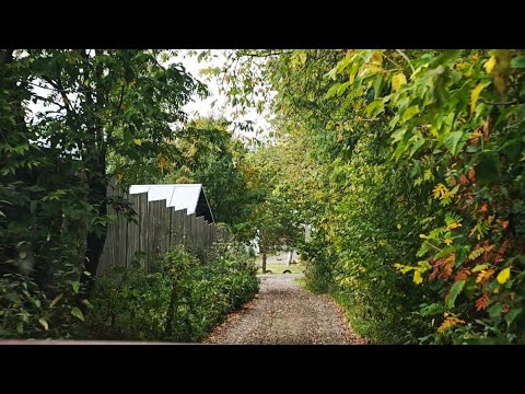 Видео: Лысьва//Дорога в осень 🍁 (30 августа 2025 г.)
