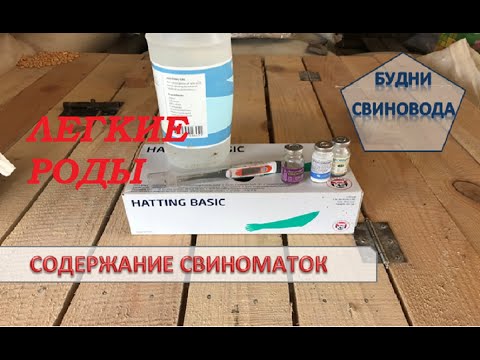 Видео: Опорос без проблем// препараты и средства, что помогут вам при опоросе