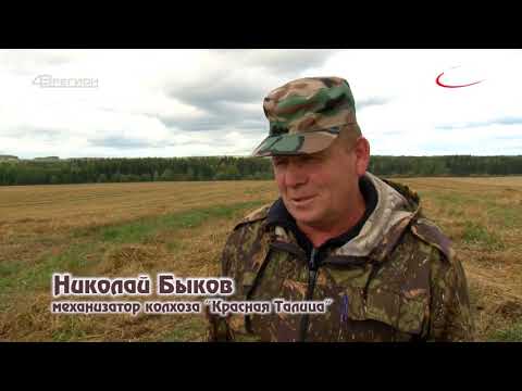 Видео: Дороги деревенские 16.09