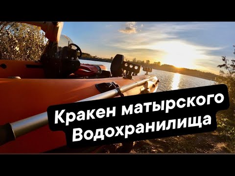 Видео: Бесклевье? Влупил кракена, матырского водохранилища!