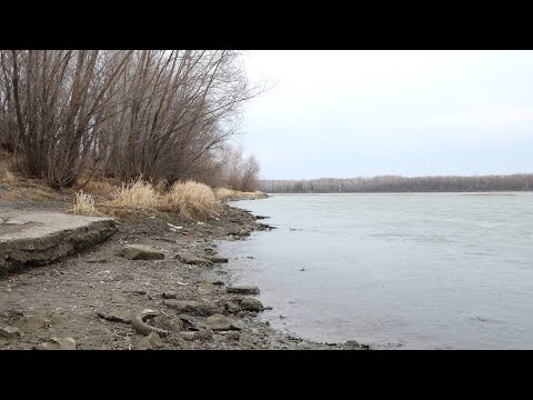 Видео: "Будни" (новости, 10.11.25г., Бийское телевидение)