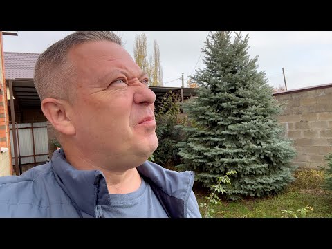 Видео: моя РАБОТА оправдалась // МАТРЁШКИ живее всех // пора обновлять грядки и жду МАСТЕРА замерщика