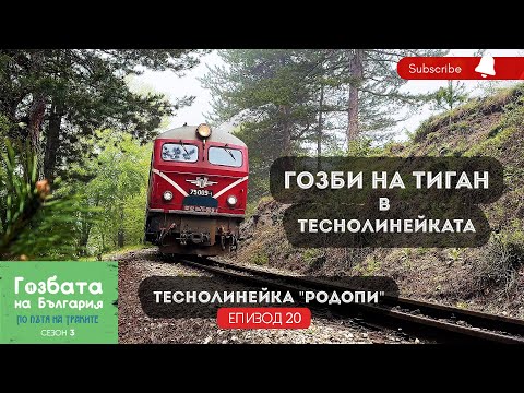 Видео: Теснолинейка "Родопи" с баба Дешка [] Гозбата на България [] Кулинарни Пътешествия