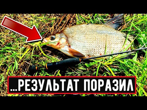 Видео: ТРОФЕЙНЫЙ Мормышинг с Ermine Nano 0,2-0,8 180/Лещи на Спиннинг?!