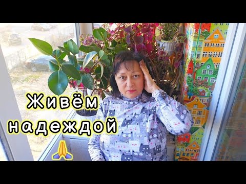 Видео: ЖИВЁМ И НАДЕЕМСЯ ‼️Рецепт для настроения :КОТЫ 😺😽3.11.25