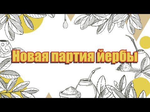 Видео: Новая партия йербы