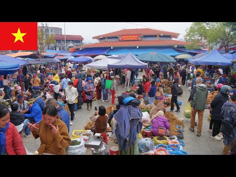 Видео: Познакомьтесь с вьетнамскими рынками — уникальными культурными особенностями горных этнических групп