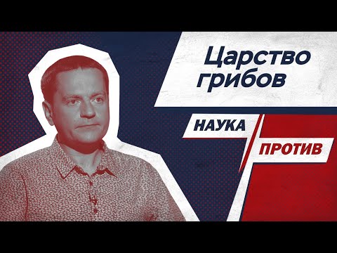 Видео: Миколог против мифов о том, как живут грибы // Наука против
