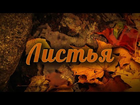 Видео: СИСТЕМА МГНОВЕНИЯ - ЛИСТЬЯ (клип)