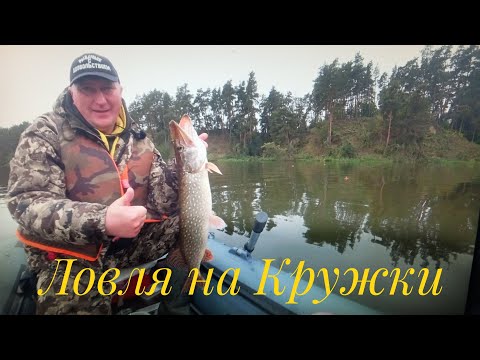 Видео: Щука дала Жару! Зачётная Поклёвка в Конце Дня! Рыбалка на Кружки в Октябре 2025!
