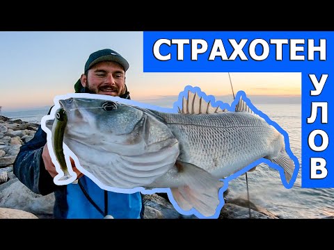 Видео: Риболов на лаврак в северна Гърция. Част 1