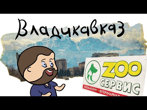 Видео: ВЛАДИКАВКАЗ | ZooСервис. Живописные горы и перегруженные ветклиники. Интервью