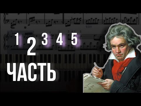 Видео: К Элизе - разбор ВТОРОЙ части - как играть ноты