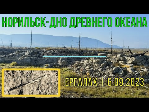 Видео: Норильск-Дно Древнего Океана | Ергалах | 6.09.2023