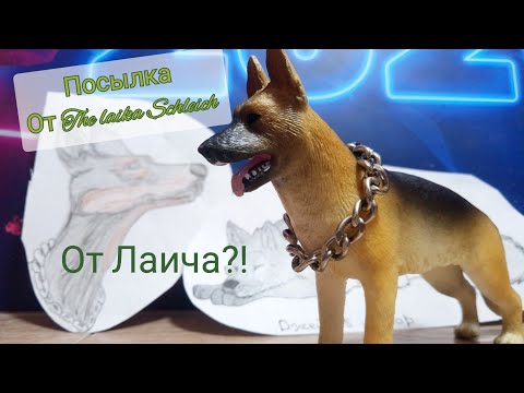 Видео: №1! Посылка от The laika Schleich! Фигурки/Мечта? 😻
