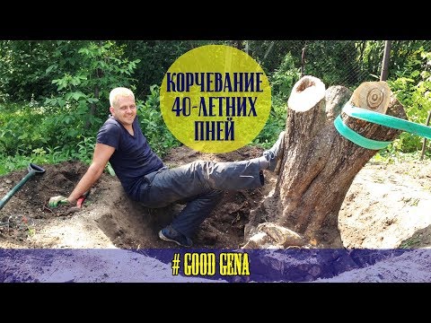 Видео: Как я корчевал 40-летние пни с помощью лебедки