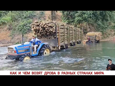 Видео: КАК И ЧЕМ ВОЗЯТ ДРОВА В РАЗНЫХ СТРАНАХ МИРА / TRANSPORTATION OF FIREWOOD IN DIFFERENT COUNTRIES