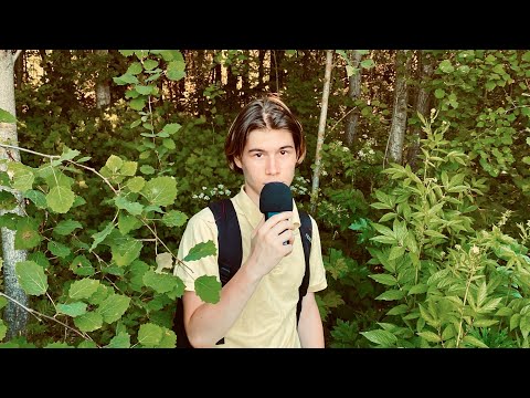 Видео: АСМР НА ПРИРОДЕ / АСМР ТРИГГЕРЫ В ЛЕСУ
