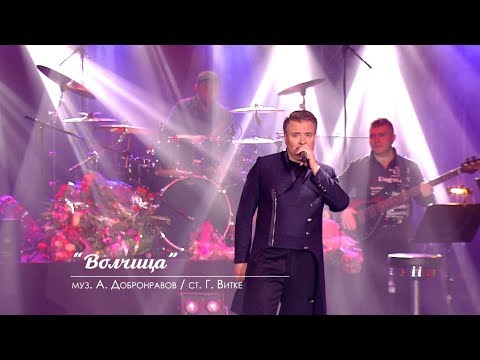 Видео: Александр ДОБРОНРАВОВ - ОДИНОКАЯ ВОЛЧИЦА | Юбилейный концерт, Вегас Сити Холл (Live)