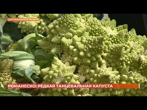 Видео: Старый базар. 26 октября 2024