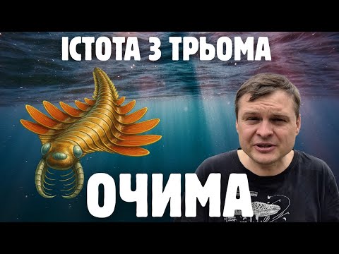 Видео: Радіодонт Мотри. Триокий мисливець кембрійських морів. Mosura fantoni