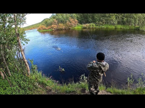 Видео: РЫБАЛКА ПРЕВРАТИЛАСЬ В ГРИБАЛКУ