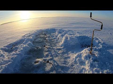 Видео: Рыбалка на финском заливе 24.01 в -19 градусов#Корюшка#Горбатый мост