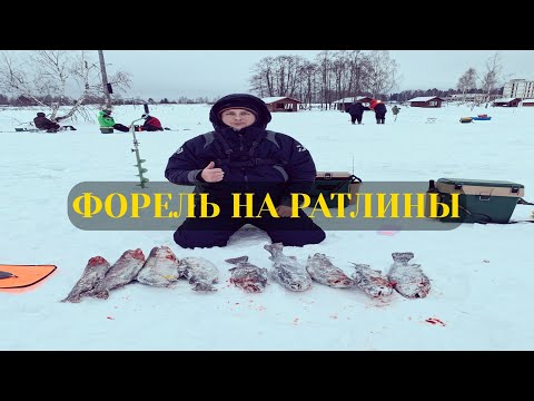 Видео: Крупная Форель на Резину/Ловля Форели Зимой/Ловим на Ратлины