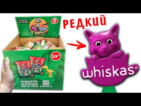 Видео: Завры Пятерочка! Собираю всю коллекцию динозавров! Выпал СУПЕР редкий