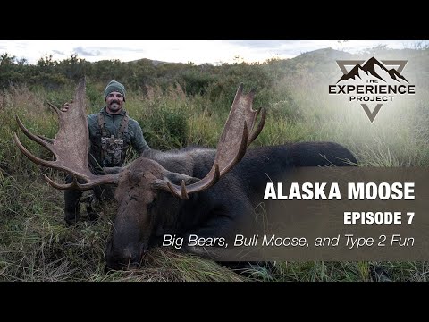 Видео: ОХОТА. Эпизод 7 — Большие медведи, лоси-самцы и развлечения второго типа на Аляске — The Experien...