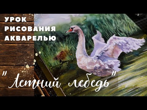 Видео: Урок рисования акварелью от «Волшебства акварели»