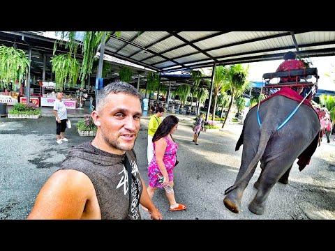 Видео: ТАИЛАНД - ПОТРЯСАЮЩИЙ ПАРК НОНГ НУЧ! ПЛЯЖ COSY BEACH. СКОЛЬКО ДЕНЕГ УХОДИТ НА ЖИЗНЬ В ТАЙЛАНДЕ?