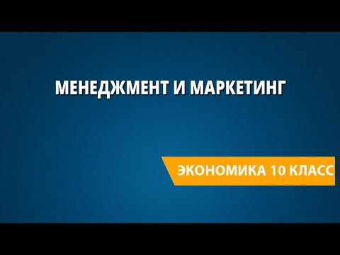 Видео: Менеджмент и маркетинг