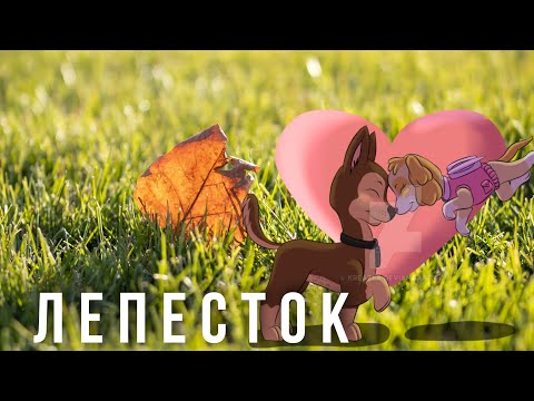 Видео: 🍁|Гончик и Скай - Лепесток|🍁 (Клип)