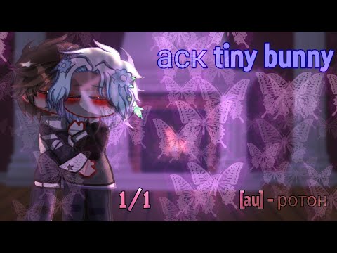 Видео: аск tiny bunny🫐 [au] описание!