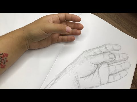 Видео: Побудова руки. Ракурс 2