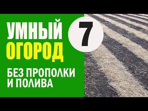 Видео: Умный Огород - 7 ч. ДОРОЖКИ ИЗ СОЛОМЫ. Не Нужно Поливать и Пропалывать. Урожайный Огород