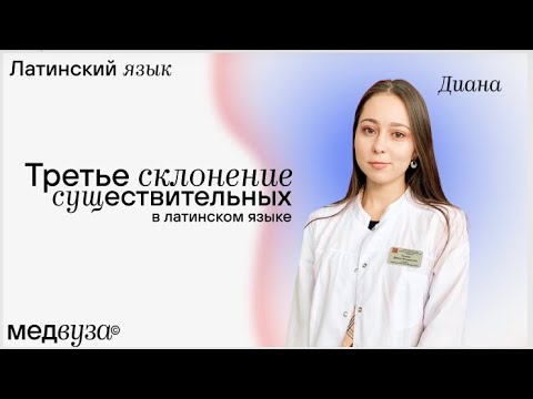 Видео: Третье склонение существительных в латинском языке