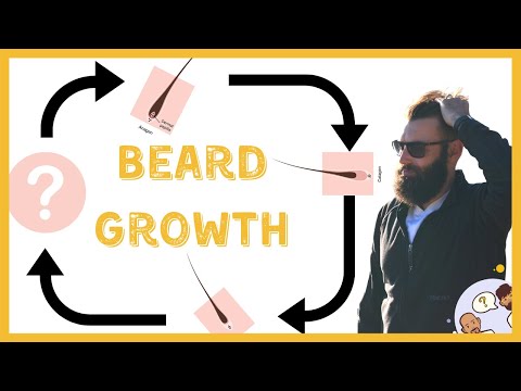 Видео: Цикл роста бороды — 4 стадии роста бороды
