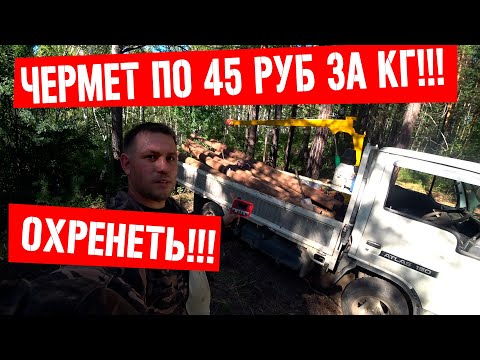 Видео: ТРИ СИГНАЛА И РАЗБОГАТЕЛ!!! ЧЕРМЕТ ПО 45 РУБ ЗА КГ!